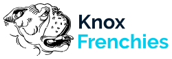 Knox Frenchies